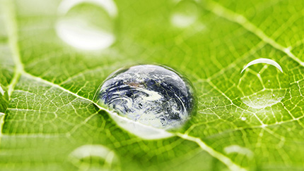 ISO Certification / Registration Status